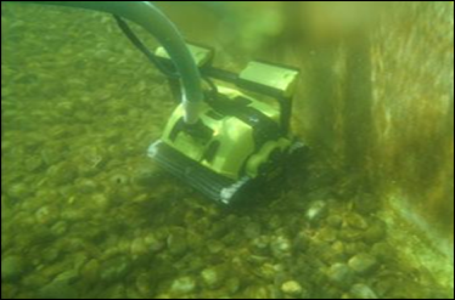 Dolphin Supreme M5 Bio-Suction Timer Active Gyro Digital con Radiocomando