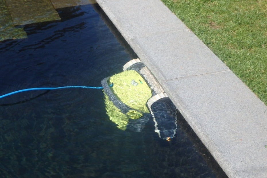 Dolphin S300i Bio IoT Wi-Fi APP MyDolphin Plus Bluetooth Timer Digital