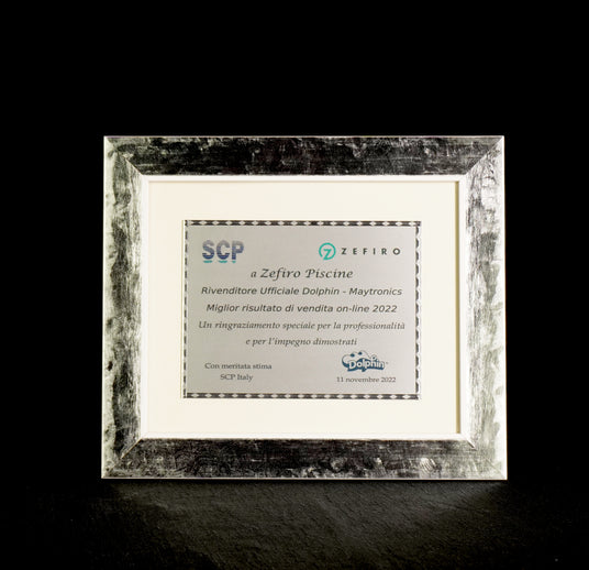 Targa di riconoscimento per Zefiro Piscine, miglior rivenditore online Dolphin 2022.