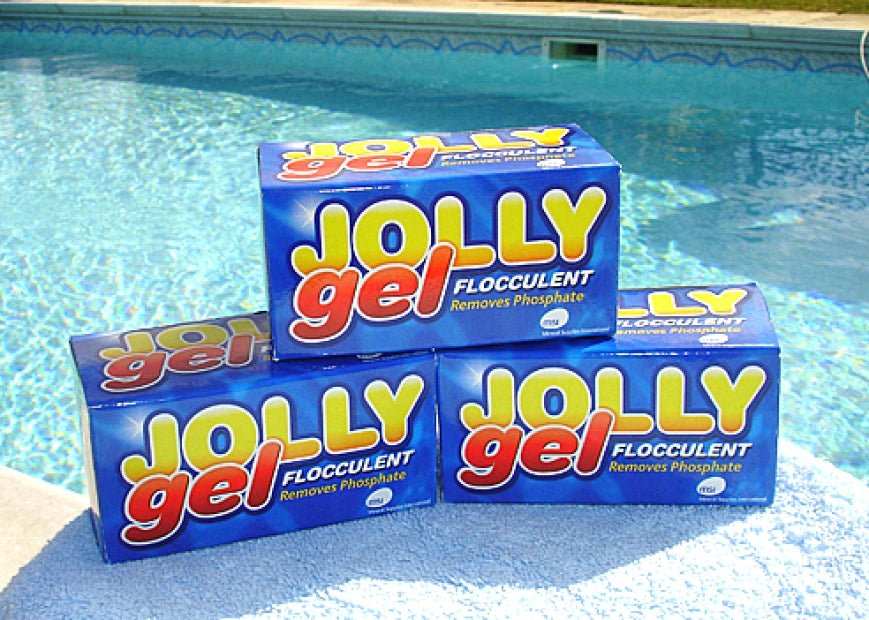12 Cubetti JOLLY GEL Flocculante in Gel per Chiarificare l Acqua della Piscina