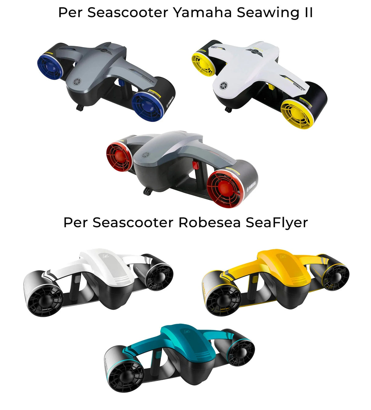 Caricabatterie Seascooter Yamaha Seawing 2 & e Robosea SeaFlyer