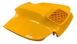 Coperchio Vano Filtro con Maniglia per Robot Piscina Dolphin E30 - E35 - E35i - E40i - E50i / 99952192