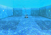 Dolphin XForce 30 Digital con Radiocomando - Robot Elettrico Pulitore per Piscina fino a 15 Mt - MY2023
