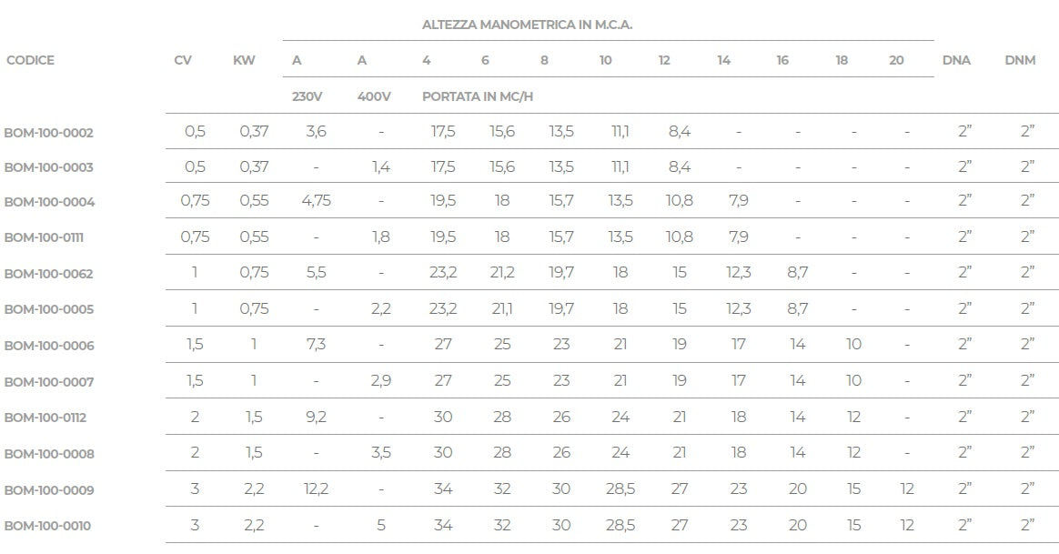 Pompa Piscina per Ricircolo e Filtraggio Acqua Saci Winner - Monofase - 0,5 / 0,75 / 1 / 1,5 / 2 / 3 HP