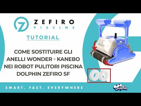 4 Anelli Wonder ad Alto Grip per Spazzole Combinate Robot Piscina Maytronics Dolphin