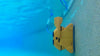 Robot piscina Dolphin Wave 100 Gyro in azione sul fondo di una piscina.
