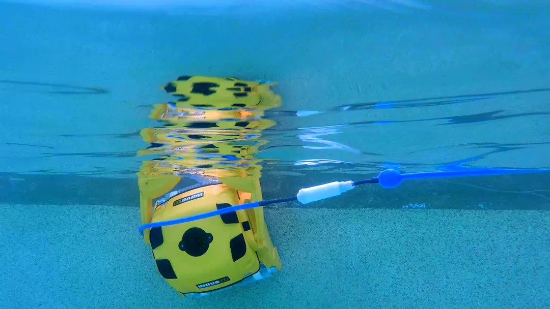 Robot piscina Dolphin Wave 100 Gyro in azione sott'acqua, collegato a un cavo blu.