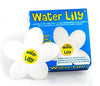 18 Water Lily Toucan Fiori Assorbenti Impurita Grasse come Olio e Creme Solari nell Acqua Piscina Idromassaggi & Spa - Confezione da 18 Pezzi